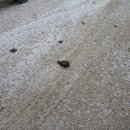 산중펜션 이미지