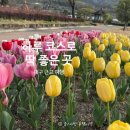 강변유원지길 | 대구 남평문씨본리세거지 사문진 주막촌 화원유원지 후기 당일치기 코스 정리