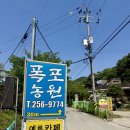 초록농원 | [수원/광교 맛집] 푸릇푸릇한 초록 속에서 즐기는 힐링, 광교산 '폭포농원' 솔직 후기 🌿