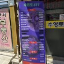611 | 부산 수영구 광안역맛집 수영로611 일식 우동 후기 및 주차정보