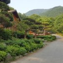 대운산자연휴양림 이미지