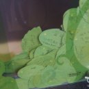 국채보상운동기념관 이미지