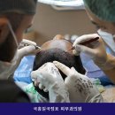 국홍일국정표피부과의원 네이버블로그