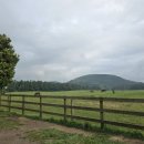 대정목장 이미지