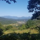 (양)동촌 이미지