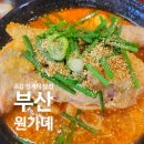 한국국밥 초읍점 | 부산 초읍동 삼계탕 맛집 원가네, 어린이 대공원 근처 몸보신 식당 내돈내산 후기