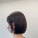 수진2호 이미지