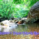 중원-100 이미지