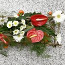 화훼장식(플로리스트) | 화훼장식기사 실기 합격 후기