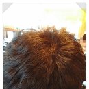 헤어(HAIR)1380