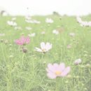 돈토 - 광진구 능동로35길 38 | 돈토