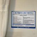 돌고래풀하우스 이미지