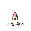 네일라이트 이미지
