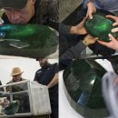 강가에서 이미지