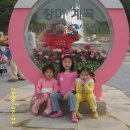 [2006.06.03~04] 울산/남창&amp;장미축제 이미지