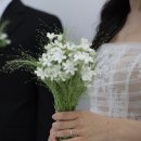 엔와이(NY)팜스토어 | 결혼_EP.7-1 내돈내산 웨딩촬영 부케&amp;센터피스 모음집