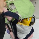 덕산시장 공중화장실 | 2025 하계 가족 여행 후기 | 덕산 스플라스 리솜 (플렉스동 G40타입) , 예산 시장, 예당호