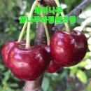 화성-향남-향남 8호 이미지