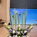 힐링꽃꽂이 이미지