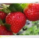 마현농장 이미지