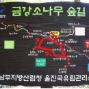 100-1-000081 이미지