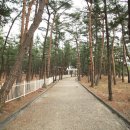 월송정매점 이미지