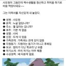 사오정 Daum카페