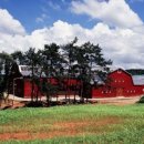 조규목장 이미지