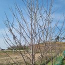 반장농장 이미지