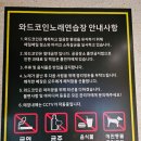 와드코인노래연습장 이미지