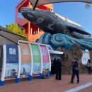 장생포고래박물관 이미지