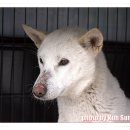 안녕하세요 이미지