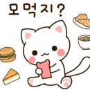 동주기전 이미지