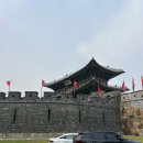 도매당약국 이미지