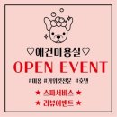 몽끄베르 이미지