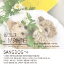 보라애견샵 네이버블로그