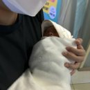 ㈜우리테크플라스틱 | 봄빛병원 산후조리원 1관 일반실 주절주절 후기 | 12박 13일 가격, 가슴마사지 추천