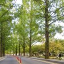 운동체육공원1,2,3 이미지