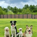 까사델뻬로 이미지