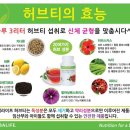 탑점핑 이미지