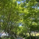 동명세차장 | 광주 가족식사 추천 맛집 Searing동명