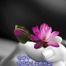 윤악기사