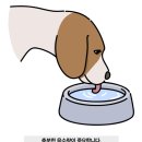 (주)홍천사료 이미지