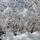 몸을 낮추니 세상이 아름답다 이미지