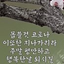 금순목장 이미지