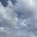 고마움을 표현하는 방식 이미지