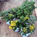 둘리농장 이미지