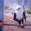 에리카어학원