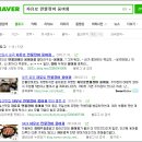 속초팔미