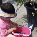 보미나어린이집 이미지